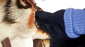 Magician gives tiger an early christmas present - wildlife