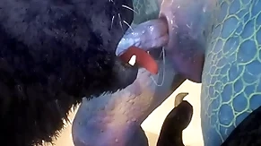 Wolf and lizard have sex on the seaside - wildlife