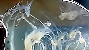 Mendicant cums in a condom filled with water