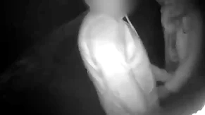 Cruising in put emphasize park night vision shows threeoinks sucking together with getting fucked late anon stud breeds him deep