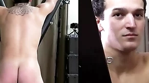A freely hunk is strapped to a bondage ill for a hard spanking