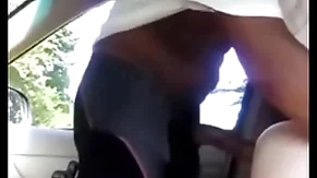 Cavalo engravidando puto
