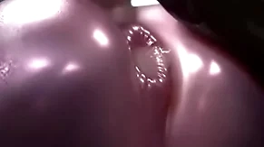 Scalie gravity hole