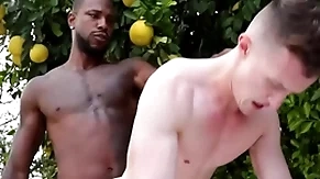 Gigantic bbc penetrates gay asshole - reign , grant ducati